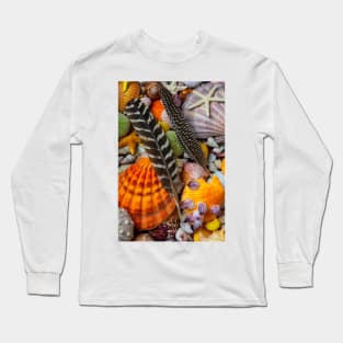 Feathers And Seashells Long Sleeve T-Shirt